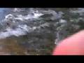 White Water Tubing