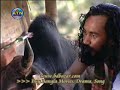 Natok GORU CHOR Directed by Salauddin Lavlu