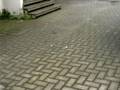 clip video I Barritas Una Storia Trista