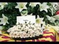 videos de In memory of Princess Diana