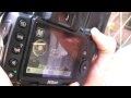 Shiny Review: Nikon D5000