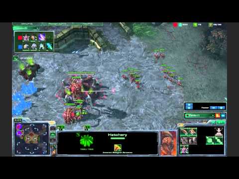 starcraft 2 zerg starcraft 2 zerg