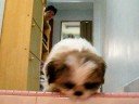 Thumbnail #1