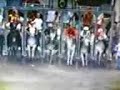 Allumiere:42�Palio delle Contrade