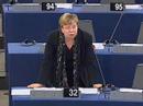 Danut? Budreikait? on EU/Africa Summit