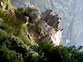 romancing d hills