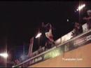 Pro Vert 2006