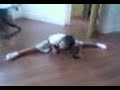 anekka splits