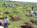 Reforestacion en la UPZ www.nopaleros.com