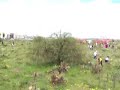 Reforestacion en la UPZ www.nopaleros.com