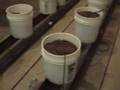 TN Pot Cave - Part Two