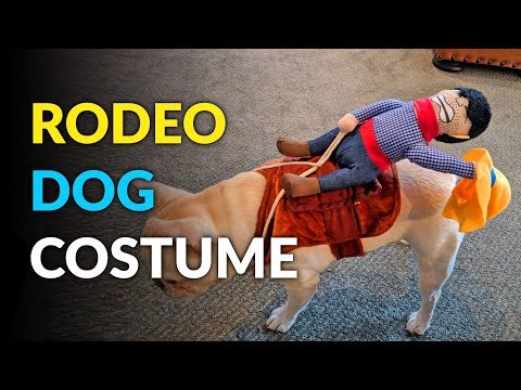 Rodeo Cowboy Dog Costume