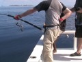 Sailfish On Jig