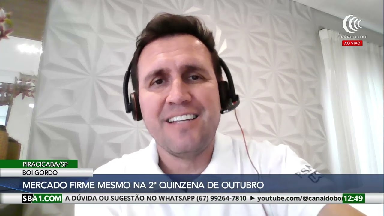 Mercado do boi gordo está positivo na 2ª quinzena de outubro