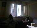 Amat�r yap�m film : Vir�s 1