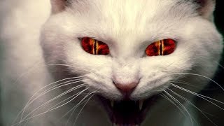 Gatti Demoniaci per Halloween