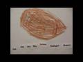 videos de Can You See This ______?      Class Book