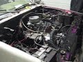 V8 Ranger V8 Ranger