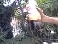 eplosione-coca-cola-mentos-bologna.html