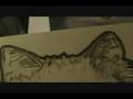 videos de Kitty Kitty