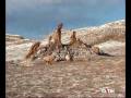 CHILE - NORTE - Paisajes de belleza extraordinaria: el desierto de Atacama