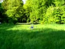 Tracking a quadcopter with the visual attention (VOCUS)