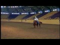 Horse Training: Teaching a Horse to Stop, provided by eXtension