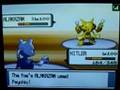 Pokemon D/P Wifi Battle - LOLOLOL VS GMAN