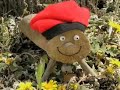 CAGA TIO - CATALAN CHRISTMAS LOG