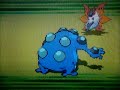 The New Champion Of The Unova Region!