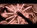 Marco Borsato – Dichtbij