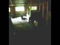 Combat Evolved Airsoft