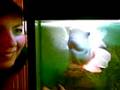 videos de kipper3