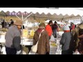 志津川湾　おすばで福興市 