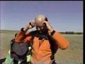 Skydiver Faints