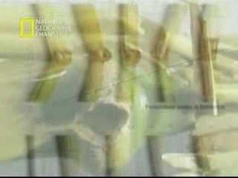 NatGeo - El Fraude de los Circulos de Maiz 4/5