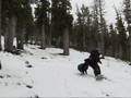 videos de Early Season Snowboard At Carlton Ridge Near Missoula Montana