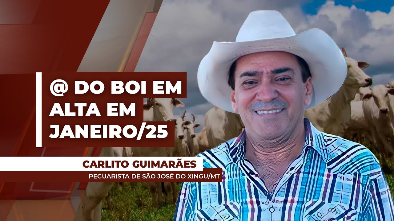 Preços da @ bovina não devem cair do patamar de R$ 300,00, segundo Carlito Guimarães, e podem ...