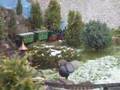 videos de Easter 2008
