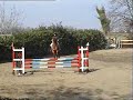 Sociale \"La Porporata\" B110 - Alberto Biuso