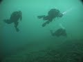 Diving in Osezaki www.jue.jp