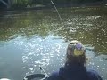 Zif (Ziffy;s brother) shows how to jig for herring using a Sabiki rig. For more info on herring and striped bass fishing type striperchum in the youtube search bar above or visit www.striperchum.com,