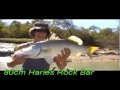 Daly River Winter Barra - 2008