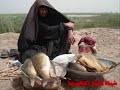صور من الناصرية 2009