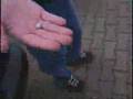 videos de samen met bob en Thomas.wmv