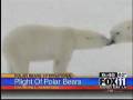 videos de plight of the polar bears - kttv Good Day LA 9am 11-26-08.wmv