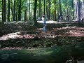 Trottel im Wald