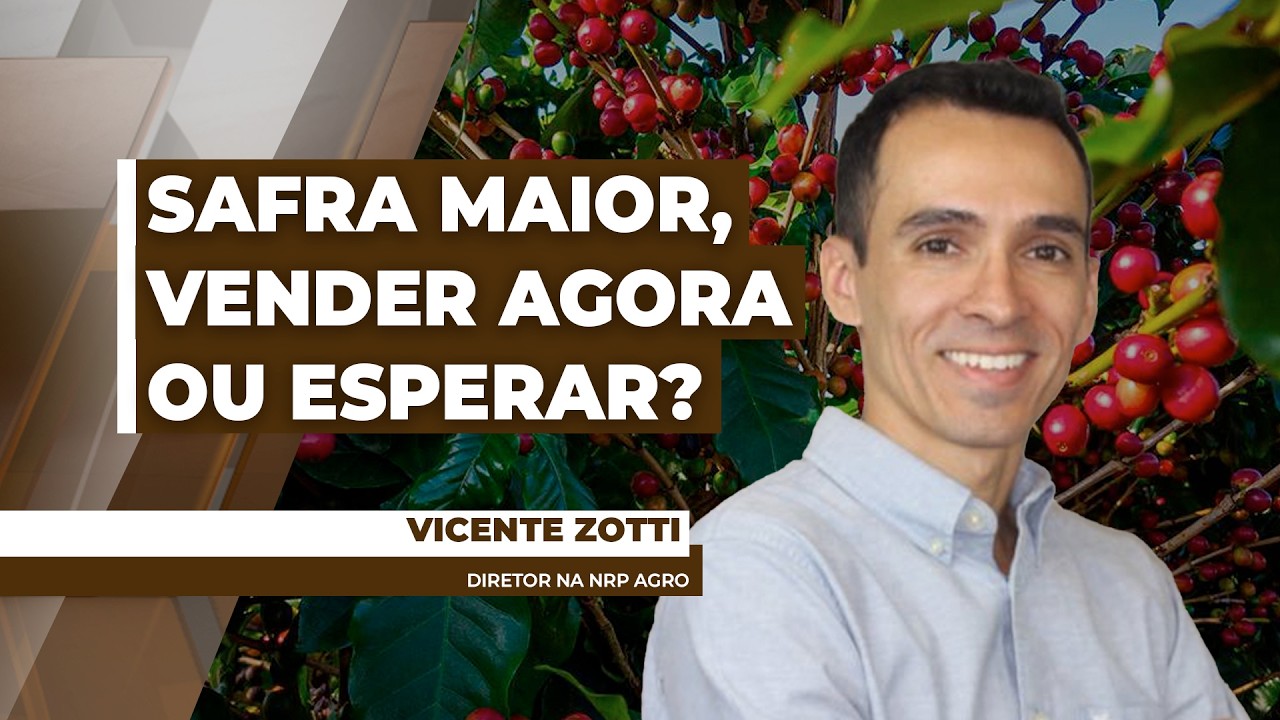 Café 2026: safra maior e mercado em jogo