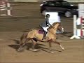 (5�) Gran Premio - El Cortijo - Telde Gran Canaria.