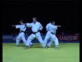 NIHON TAI JITSU